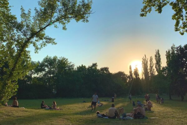 Sonnenuntergang über der Wiese im Strandbad Plötzensee