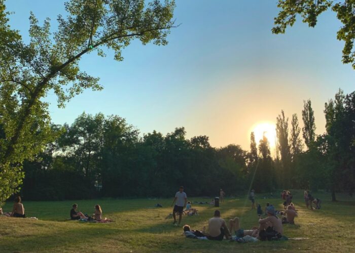 Sonnenuntergang über der Wiese im Strandbad Plötzensee